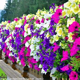 fayl za izteglyane (4)